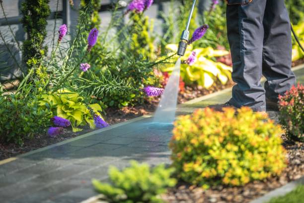 West Whittier Los Nietos, CA Pressure Washing Services Company